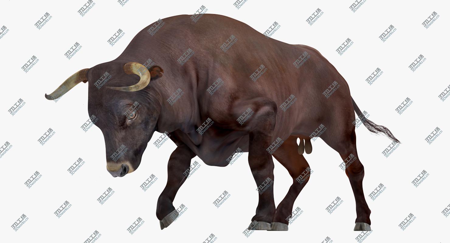 images/goods_img/202105074/3D Bull Attacking Pose/5.jpg